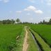2005_indonesiatrip_326_2